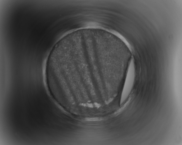 X0000087621142200705181308