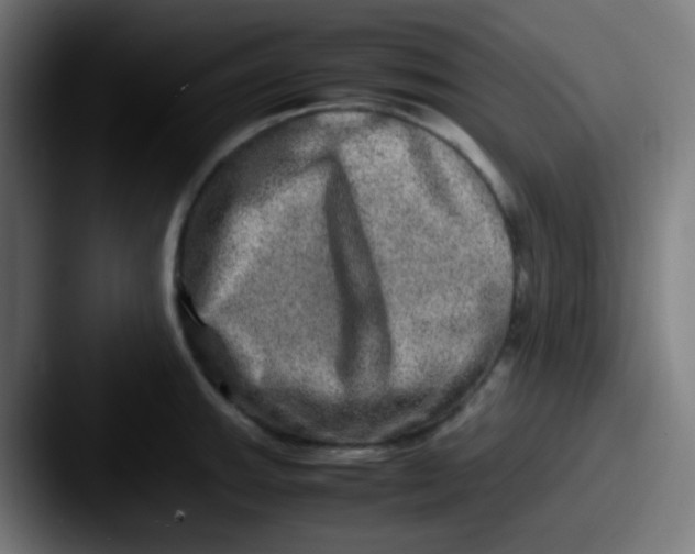 X0000087621143200705181308