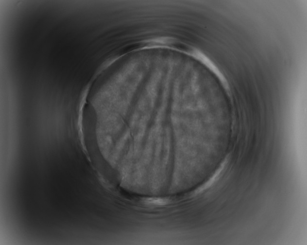 X0000087621145200705181308