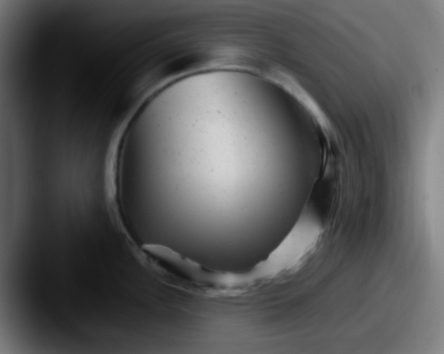 X0000087621148200705181308