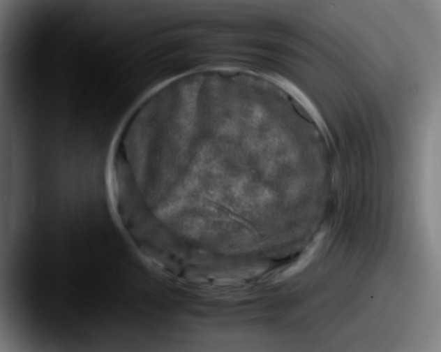 X0000087621149200705181308