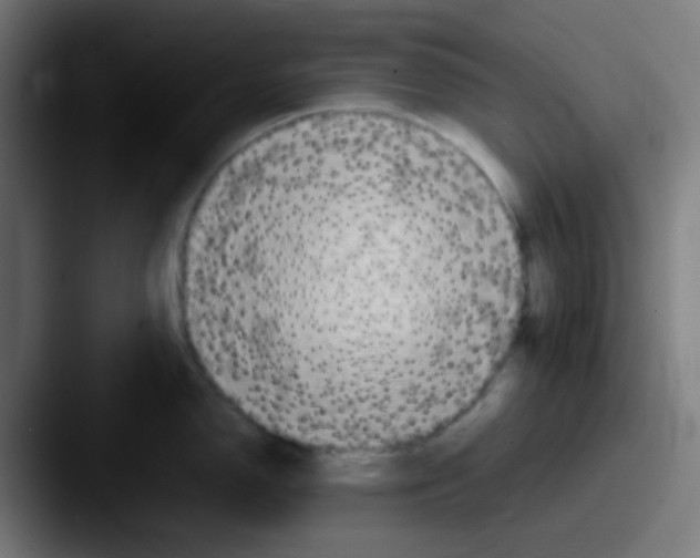 X0000087621150200705181308