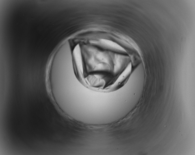 X0000087621152200705181308