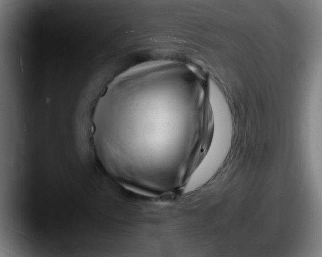 X0000087621153200705181308
