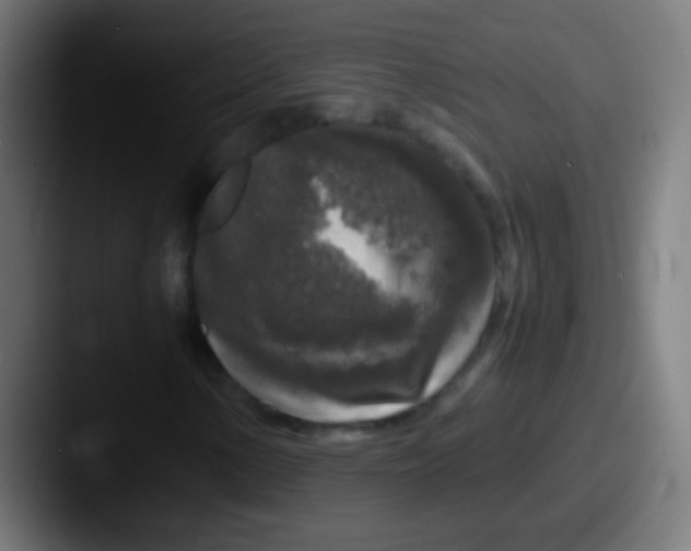 X0000087621154200705181308