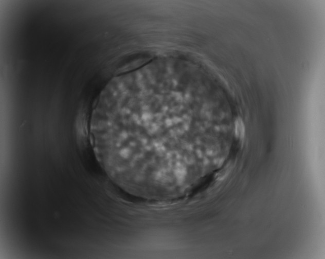 X0000087621155200705181308