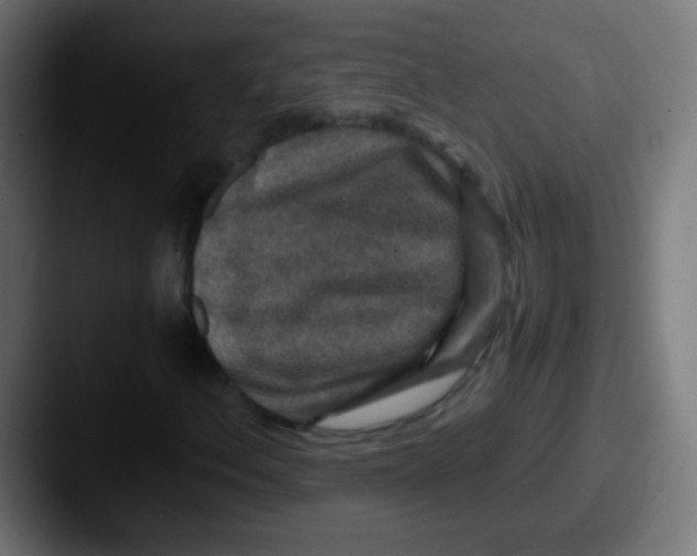 X0000087621156200705181308