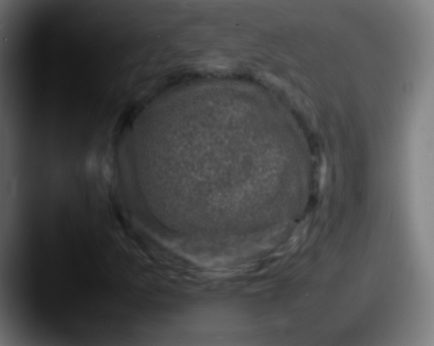 X0000087621157200705181308