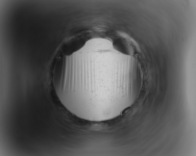 X0000087621160200705181308