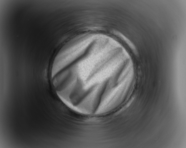 X0000087621162200705181308