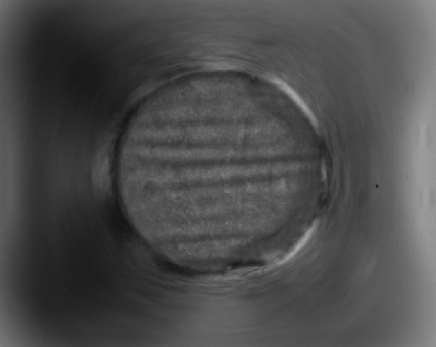 X0000087621163200705181308