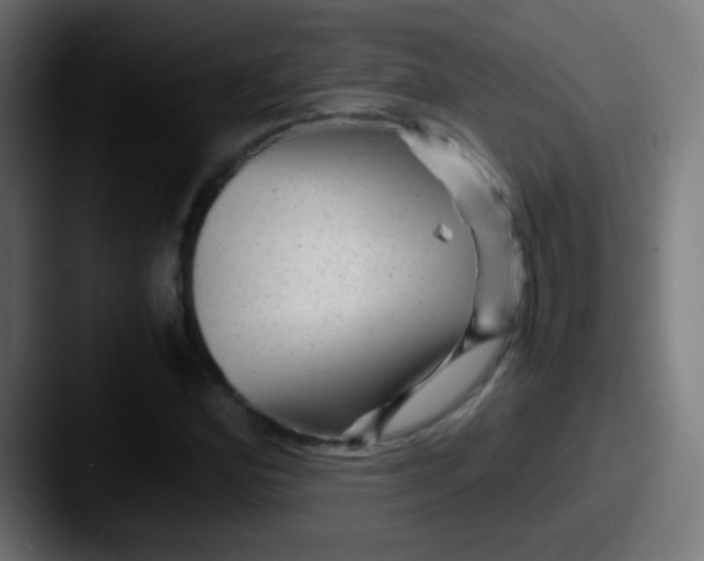 X0000087621164200705181308