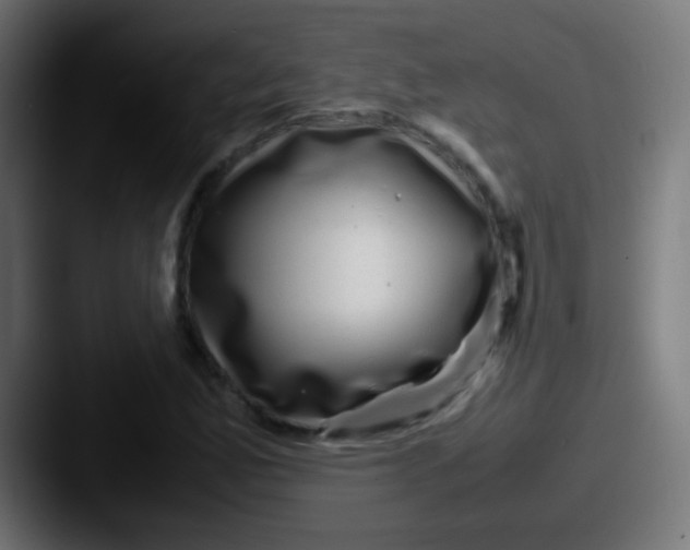 X0000087621165200705181308