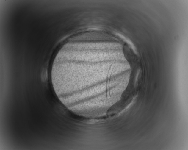 X0000087621166200705181308