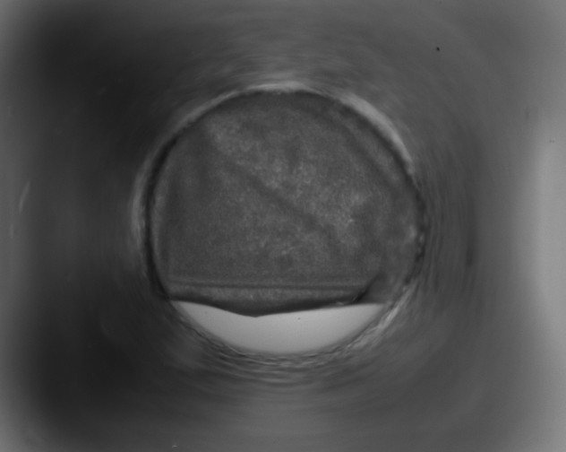 X0000087621167200705181308