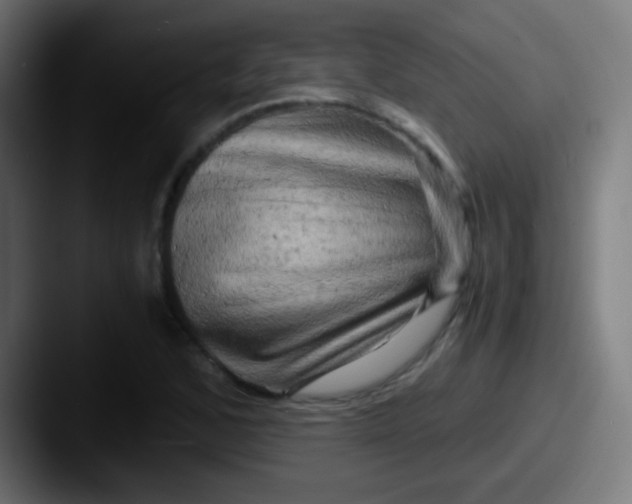 X0000087621168200705181308