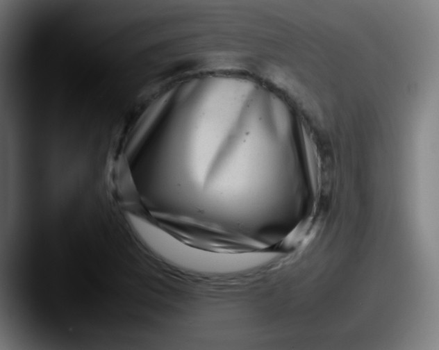X0000087621169200705181308