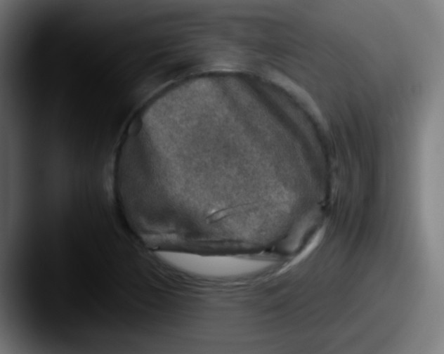 X0000087621170200705181308