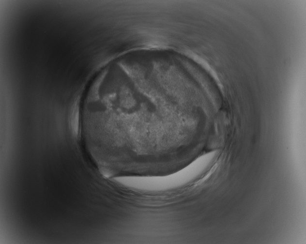 X0000087621171200705181308