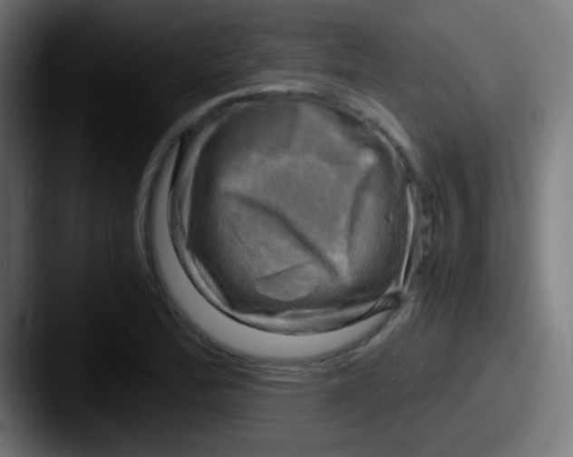 X0000087621172200705181308
