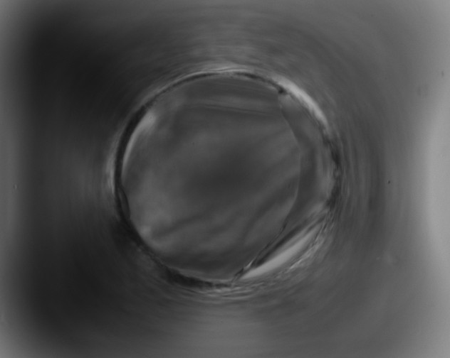 X0000087621173200705181308