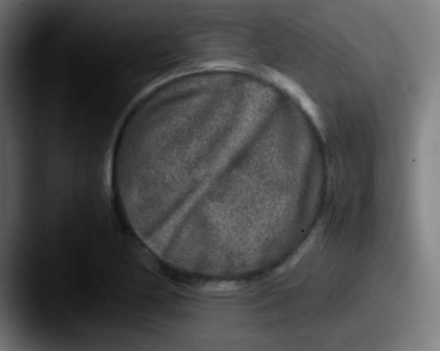 X0000087621174200705181308