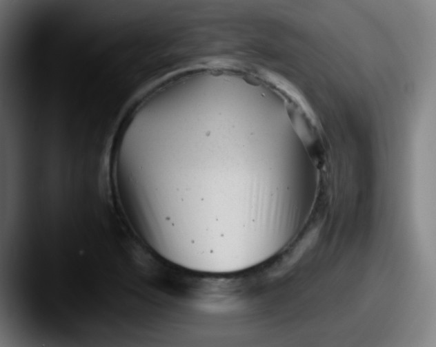 X0000087621176200705181308