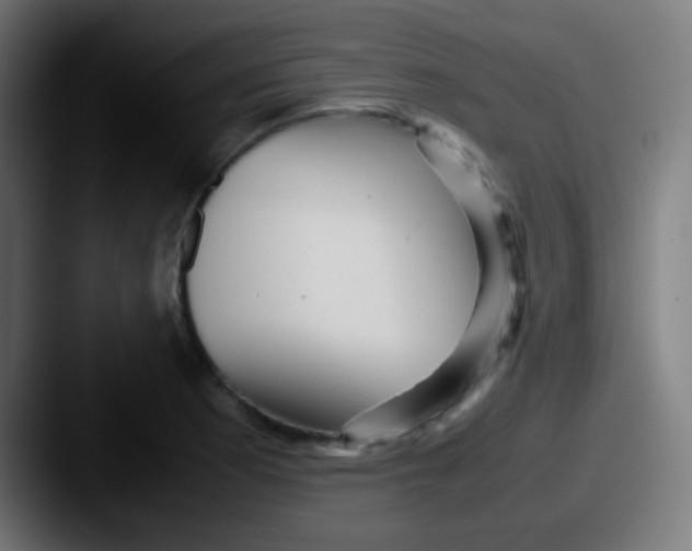X0000087621177200705181307
