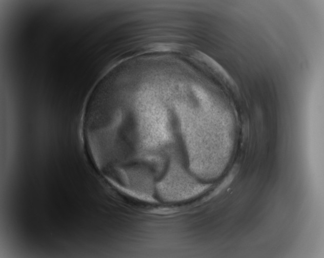 X0000087621178200705181307