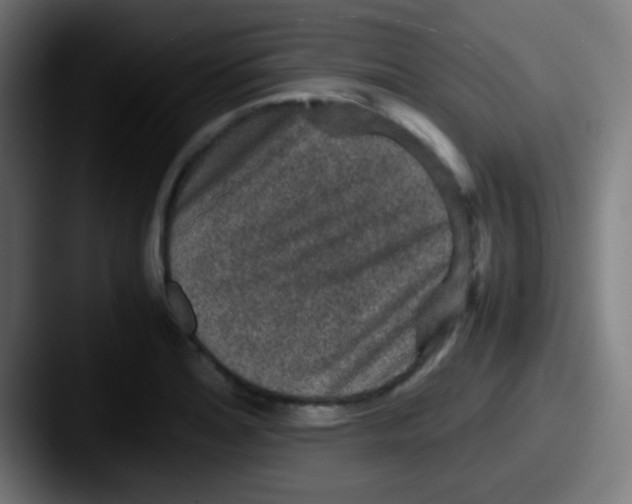 X0000087621180200705181307