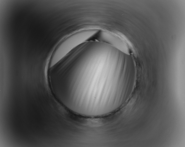 X0000087621181200705181307