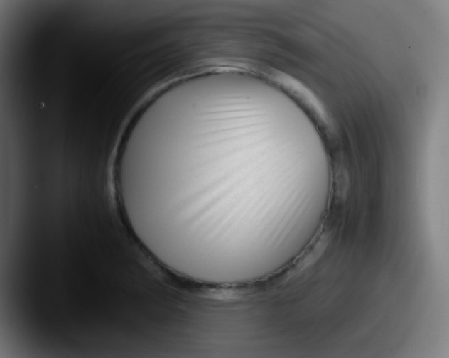 X0000087621182200705181307