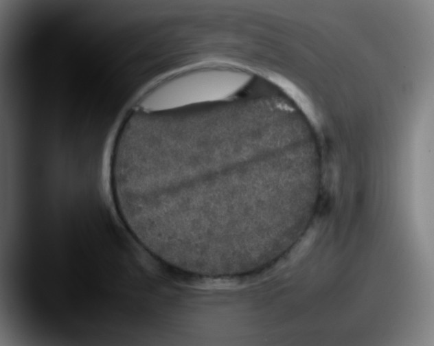 X0000087621183200705181307