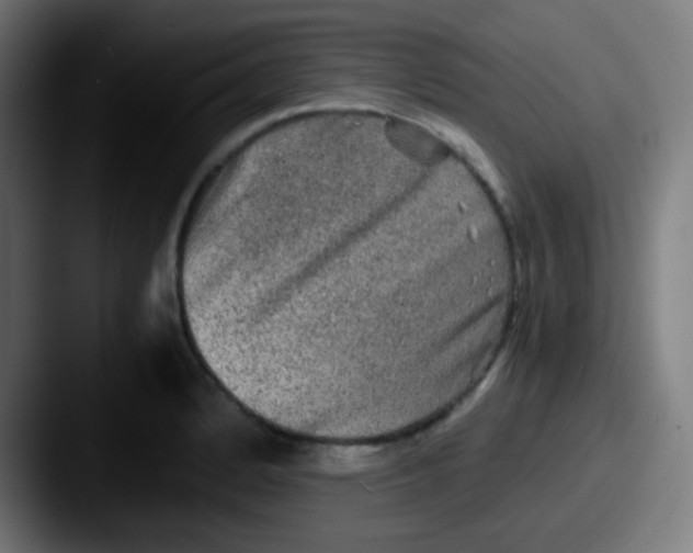 X0000087621184200705181307