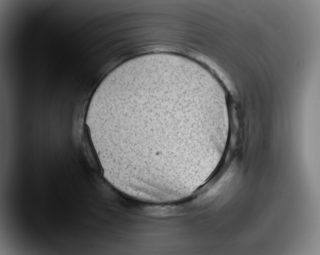 X0000087621185200705181307