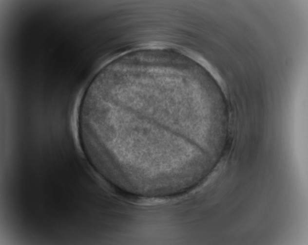 X0000087621187200705181307