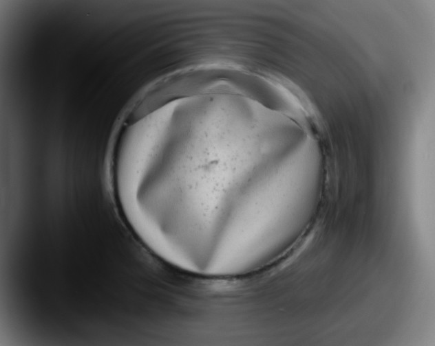 X0000087621188200705181307