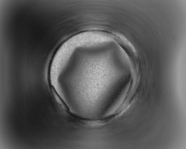 X0000087621189200705181307