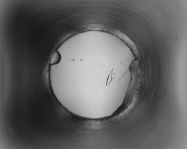 X0000087621190200705181307
