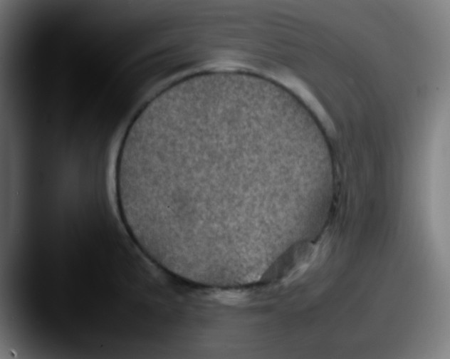 X0000087621191200705181307