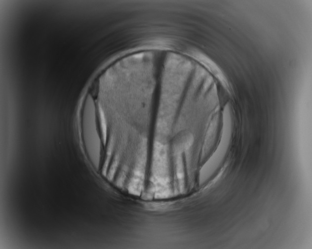 X0000087621192200705181307
