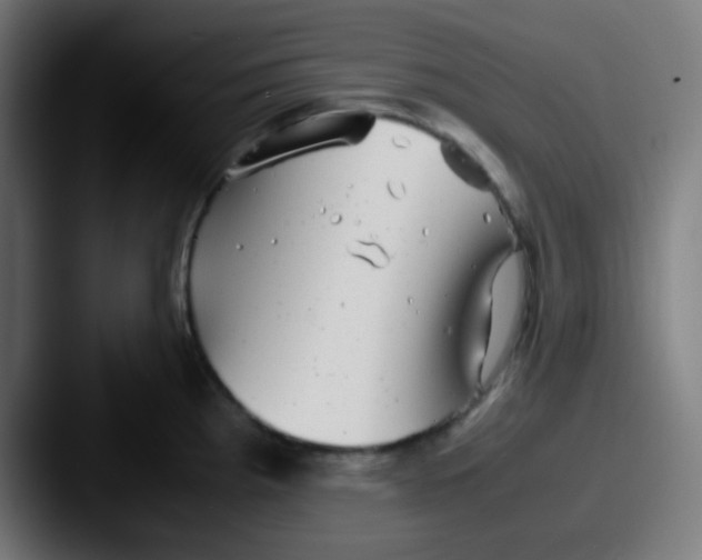 X0000087621193200705181307