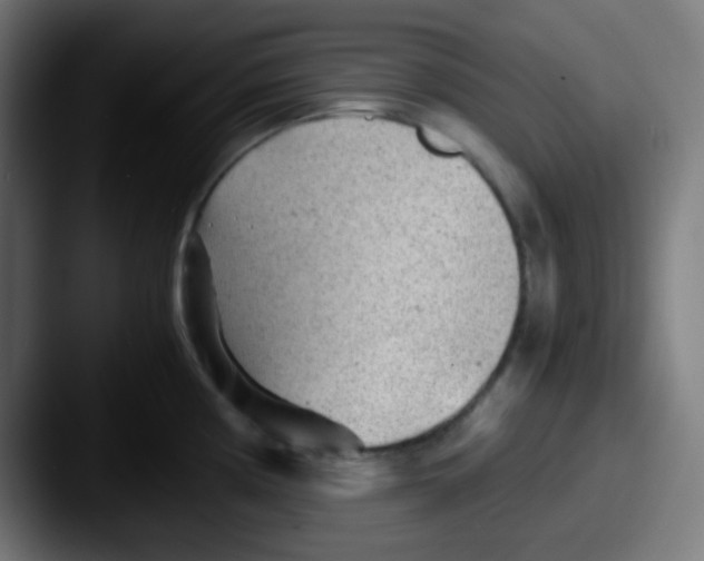 X0000087621194200705181307
