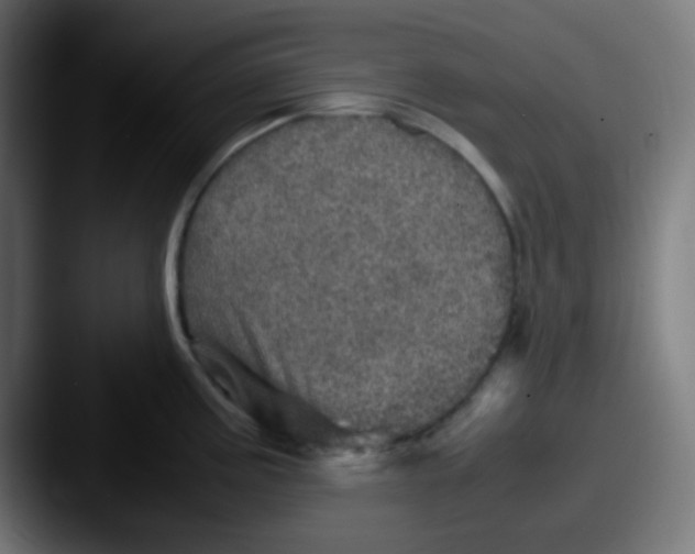 X0000087621195200705181307