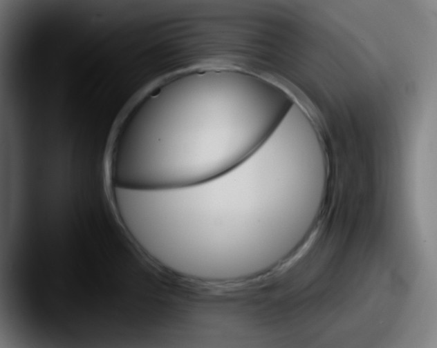 X0000087621196200705181307