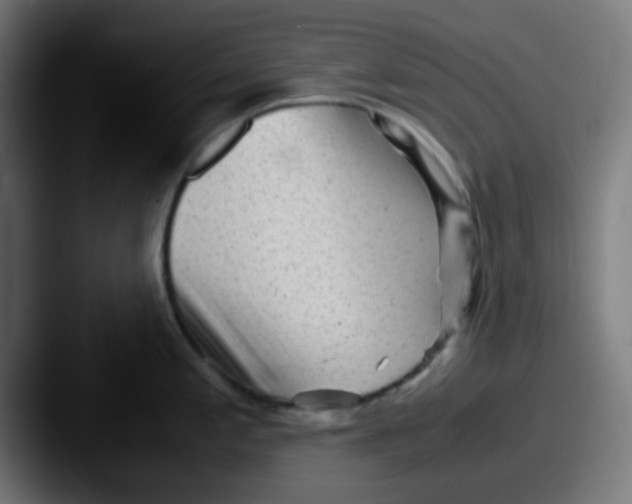 X0000087621197200705181307