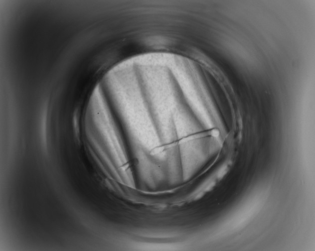 X0000087621198200705181307