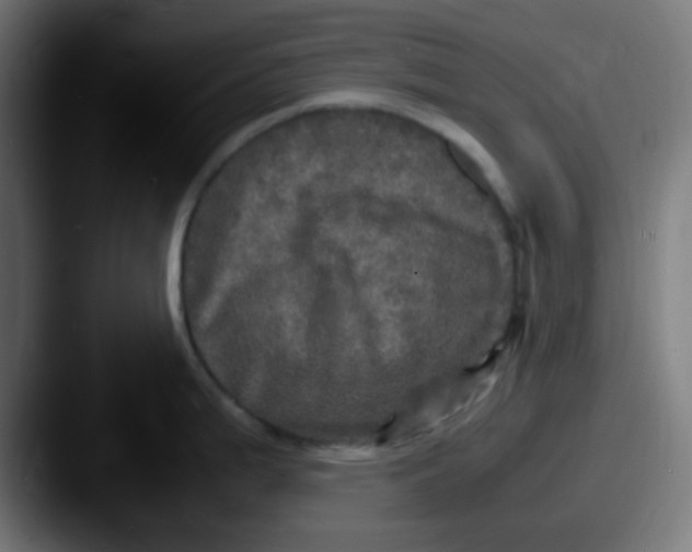 X0000087621199200705181307