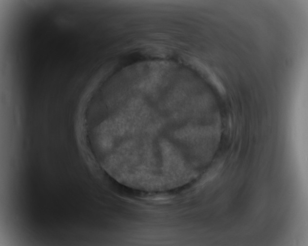 X0000087621201200705181307