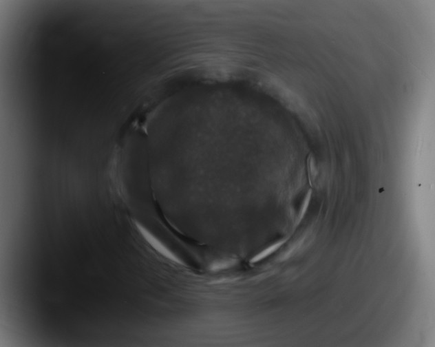 X0000087621202200705181307